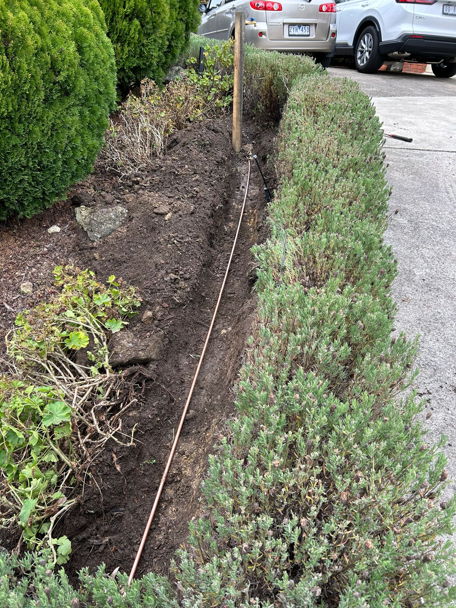 New copper water supply pipe laid in excavated trench along garden bed Altona Melbourne